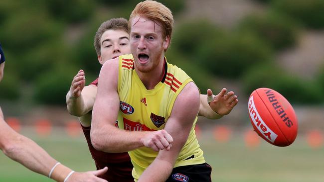 Essendon training at Tullamarine Aaron Francis Picture:Wayne Ludbey