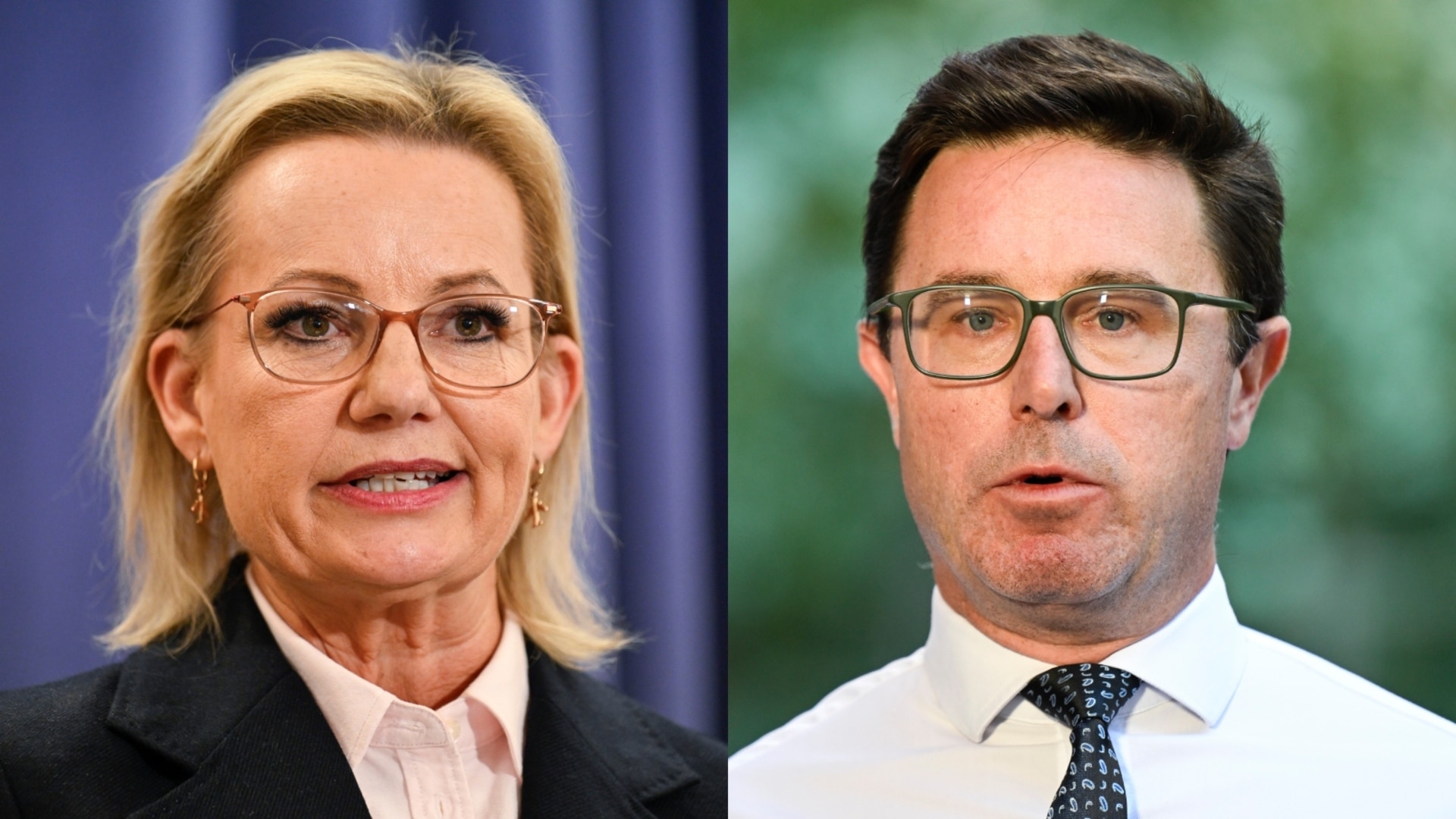 Sussan Ley to initiate talks with David Littleproud on new Coalition deal