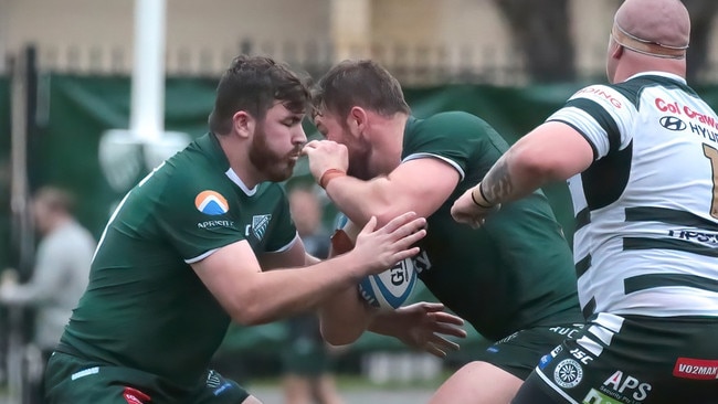 Randwick are top of the table in the Shute Shield. Pic: Ric Mclallan