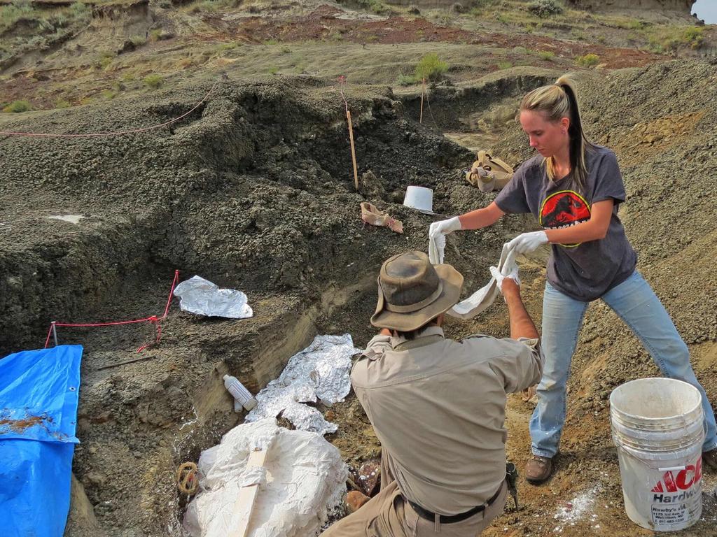 This photo taken on March 29 by the University of Kansas shows Robert DePalma and field assistant Kylie Ruble excavate fossil carcasses from the Tanis deposit. Picture: Robert DePalma/Kansas University