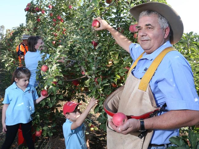 Apple grower Guy Gaeta — with, from back, son Michael, wife Sim, and grandchildren Alexis and Owen — says few Australians wants to pick his fruit. Picture: Steve Gosch