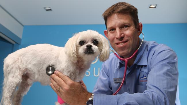 Dr Kevin Cruickshank was voted the best vet on the Gold Coast in 2018. Kevin with patient Max at his Surfers Paradise clinic. Picture Glenn Hampson