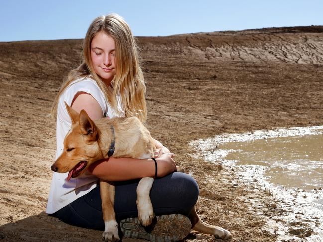 Charlotte Darcy, 15, on the family farm in Tullamore with their dog J. Picture: Jonathan Ng