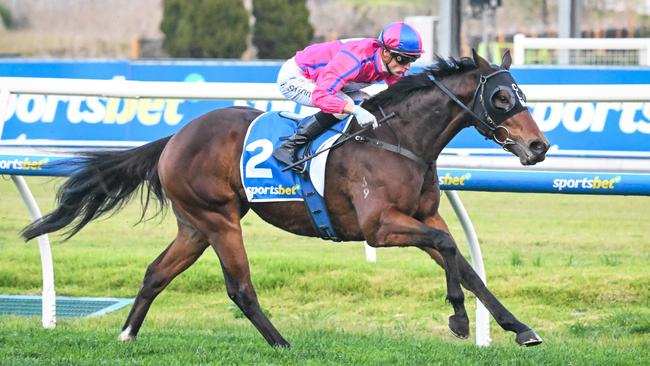 Recommendation will chase a repeat of his outstanding Monash Stakes win when he steps up to 1200m in the Bletchingly Stakes. Picture: Racing Photos via Getty Images