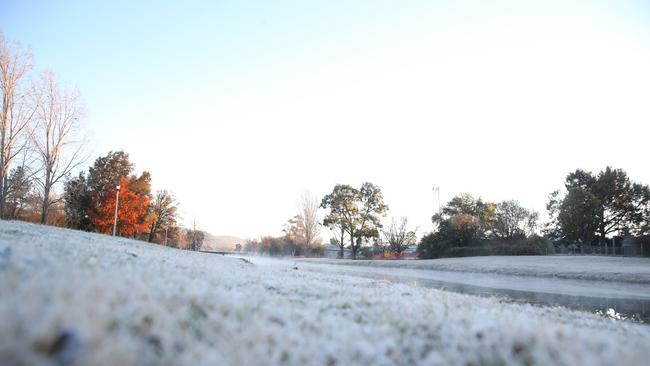 Snow is forecast to fall across parts of the Granite Belt in coming days. Picture: Peter Wallis