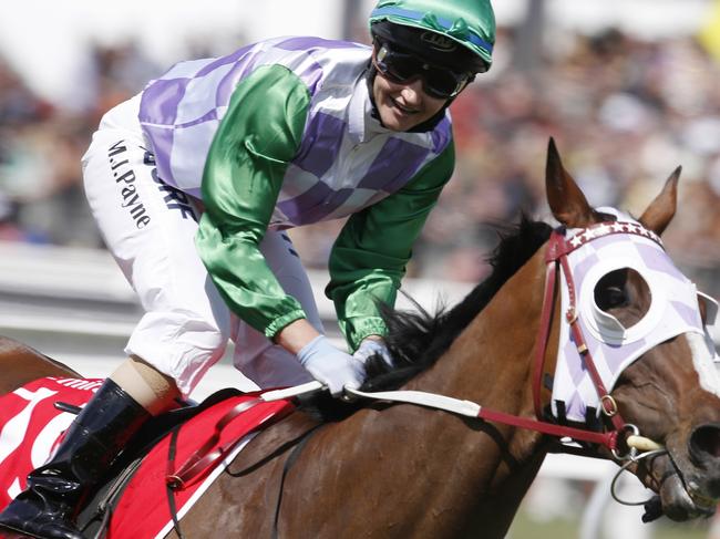 Melbourne Cup Day Races at Flemington Racecourse. Race 7. Melbourne Cup over 3200 metres. Winner Prince of Penzance with a happ Michelle Payne after crossing the finish line winning the Cup . Picture: Michael Klein. Tuesday November 3, 2015. Melbourne, Australia. MelbourneCup15