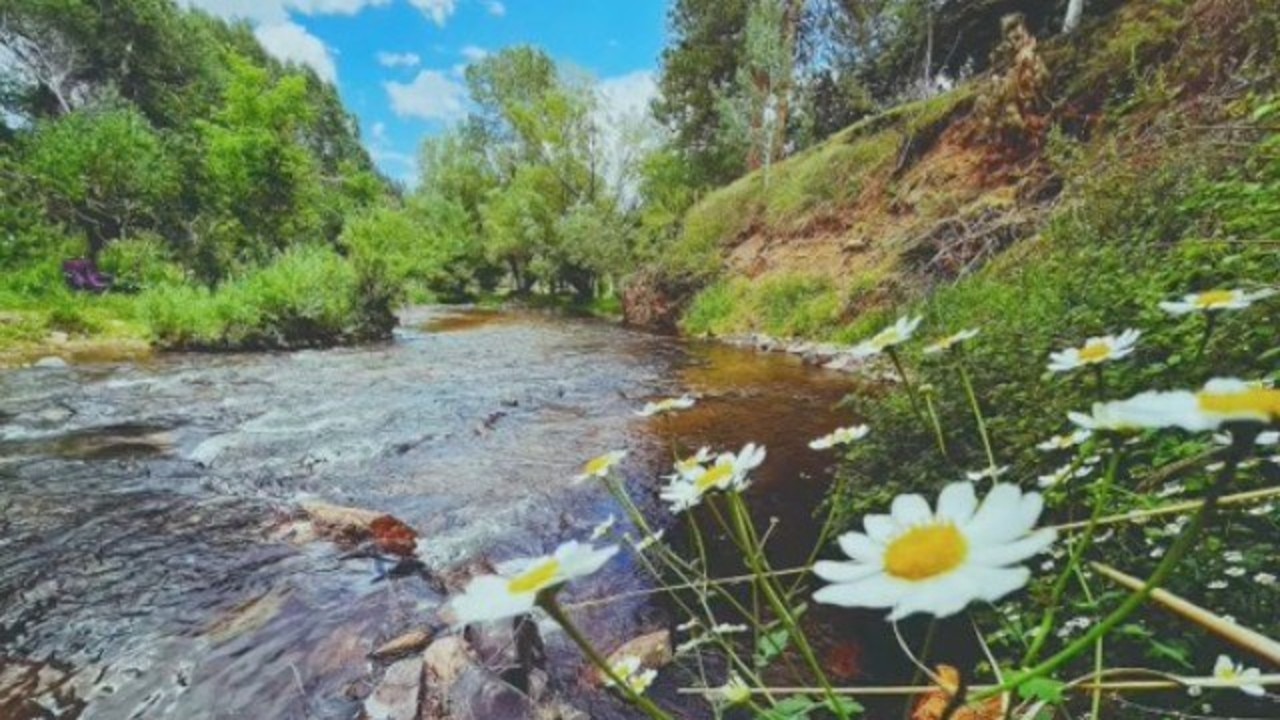 The creek that ran through the backyard of Taralyn Romero’s property. Pictures: Tiktok / wickedwitch_ofthe_west