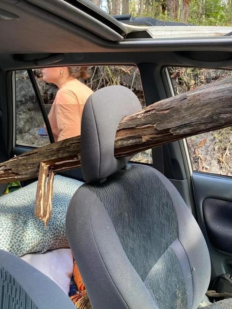 The tree plunged through the headrest of the passenger seat. Picture: Facebook.