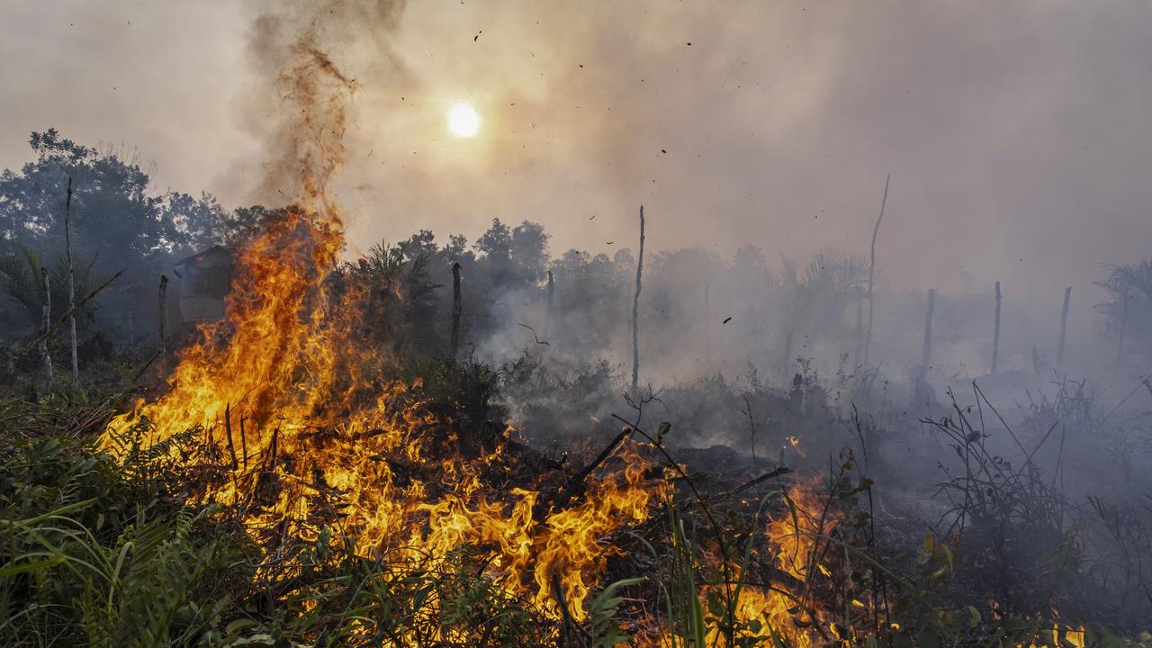 Fire burns peatland and fields on September 23, 2023 in Ogan Ilir, South Sumatra, Indonesia. Picture: Ulet Ifansasti/Getty Images