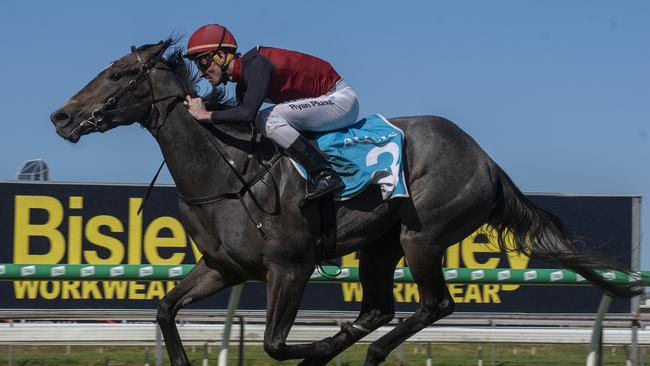 The Michael Costa-trained Defactor won the QTIS Three-Years-Old Maiden Handicap (1200m) at the Gold Coast Turf Club with jockey Ryan Plumb in the saddle on Saturday, August 10, 2019. MUST CREDITt: Greg Irvine, Magic Millions.