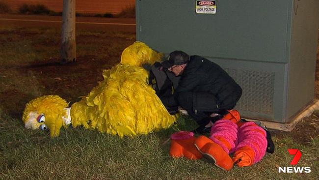 The inside of the stolen Big Bird costume is examined after it was returned. Picture: 7 News