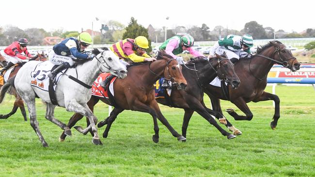 Saint George finished a close fourth in the MRC Foundation Cup at Caulfield last start. Picture: Pat Scala/Racing Photos via Getty Images