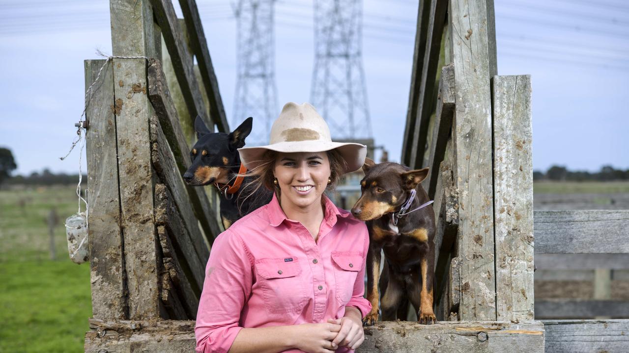 Claire studied animal science at Charles Sturt University at Wagga Wagga. Pictured with Kelpies Meg and Pepi. Picture: Dannika Bonser