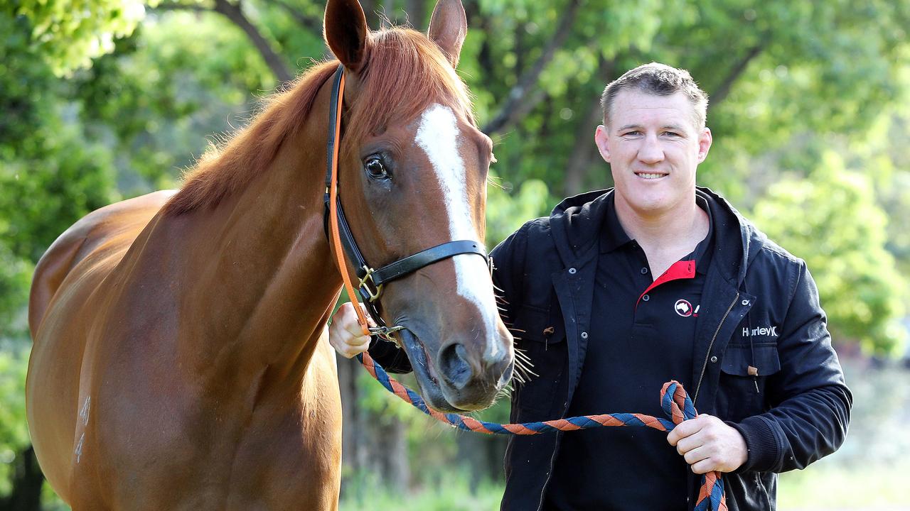 Te Akau Shark is part-owned by NRL great Paul Gallen. Picture: Tim Hunter