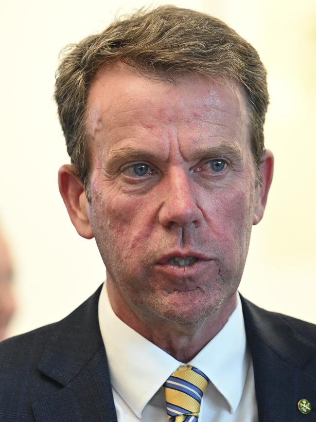 Dan Tehan. Picture: NewsWire / Martin Ollman