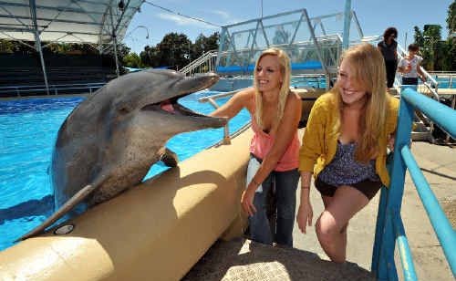 Bucky enjoyed sharing the secrets of dolphin language with American students Stephanie Henderson and Morgan Mingle.