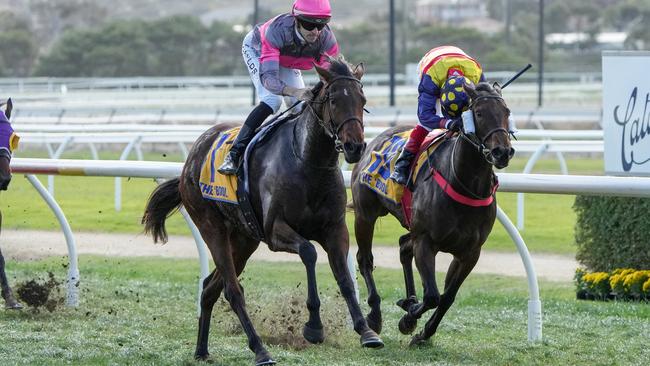 Precious Charm ridden by Jordan Childs wins the J Catanach DFC Memorial Fillies and Mares BM70 Handicap at Warrnambool Racecourse on May 02, 2024 in Warrnambool, Australia. (Photo by George Sal/Racing Photos via Getty Images)