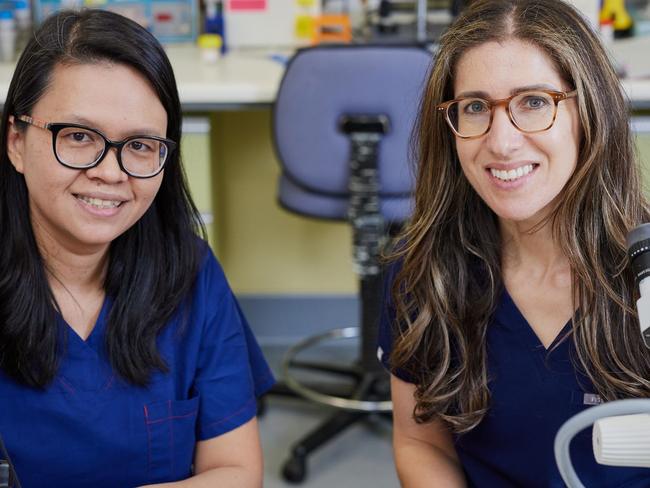 Professor Wan Tinn Teh (left) and Dr Genia Rozen, co-directors of the Women’s new national fertility preservation initiative for children and young adults with cancer. Picture: Supplied.