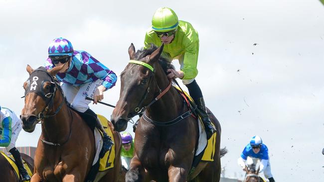 Too Darn Discreet and jockey Michael Dee will shoot for another win in Thursday’s VRC Oaks at Flemington. Picture: Reg Ryan/Racing Photos via Getty Images