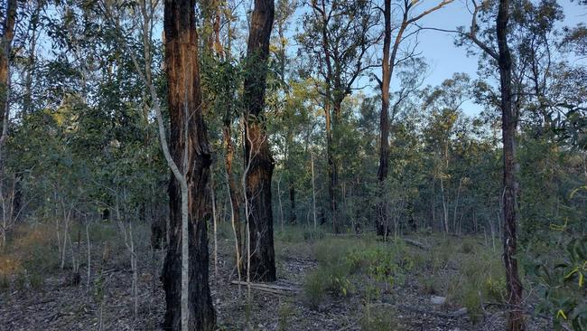 The land have been zoned for residential low density under the existing Ipswich Planning Scheme since at least 2004. Photo: Tim Stieler