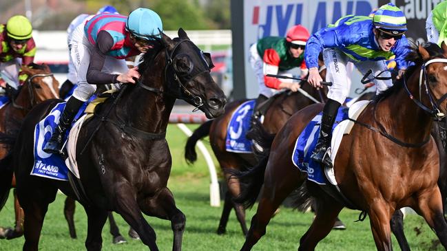 Antino comes back for revenge in the Group 1 Toorak Handicap on Saturday. Picture: Vince Caligiuri—Getty Images.