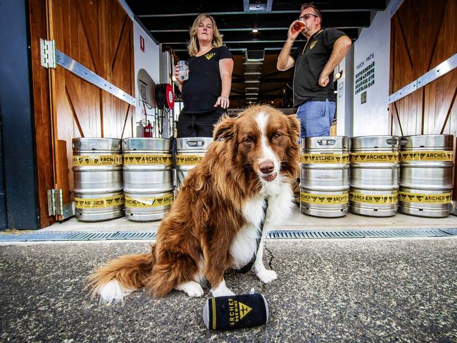 Archer Brewing is fighting to change food safety standards preventing dogs from being in indoor areas where food is consumed. The Brisbane brewery, named after a dog, has been banned from welcoming canine visitors after a council complaint last year. * Archer Brewing owners Lucy and Stuart Martin with their dog (and brewery namesake) Archer. Picture: Nigel Hallett