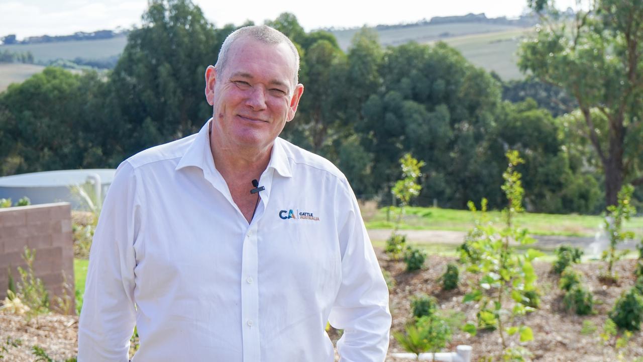 ‘We need to focus on the warming effect’
