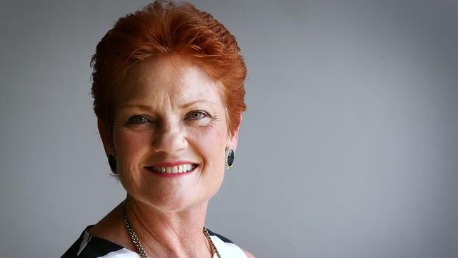 Mongrel needed to give voters a voice: That’s what Senator Hanson is after as One Nation rises in Queensland. Picture: Getty