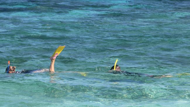 Snorkelling off the beach at Wilson Island, about 80km northeast of Gladstone. Picture: Janelle Miles