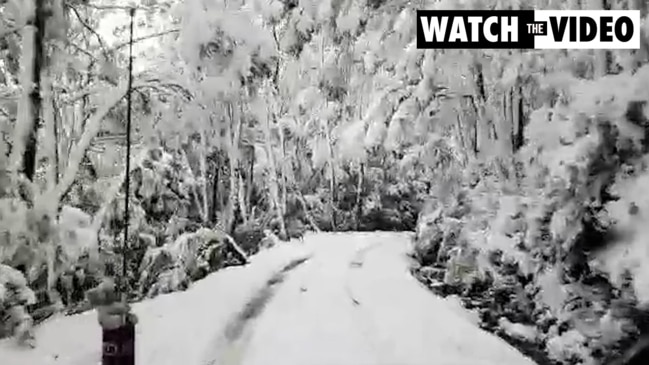 Snow blankets parts of Tassie