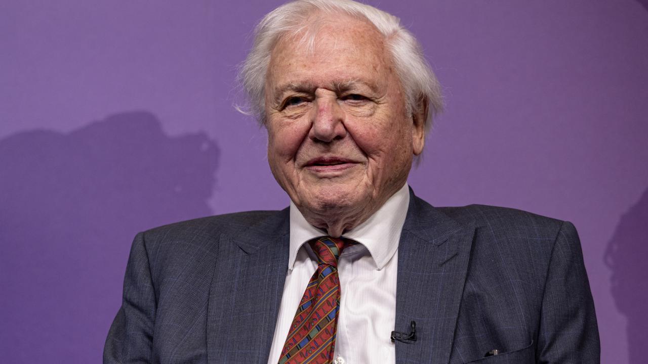 Sir David Attenborough has also made his view known. Picture: Getty