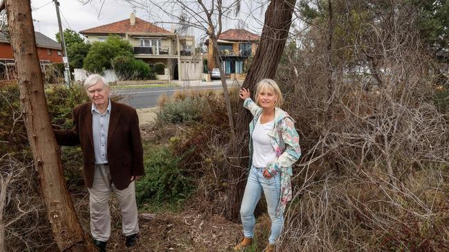 Former Bayside Council Mayors Graeme Disney and Felicity Frederico are outraged after vandals poisoned trees along the Hampton Bay Trail path. Picture: Ian Currie