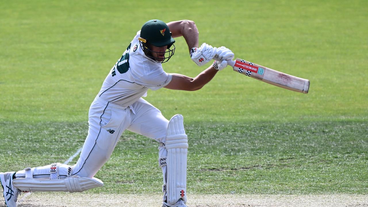 Sheffield Shield Beau Webster backs Tasmanian star Ben McDermott The