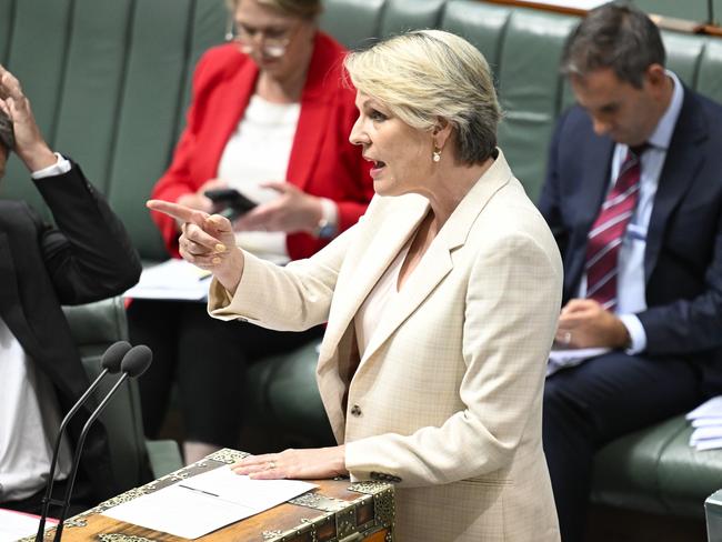 CANBERRA, AUSTRALIA  - NewsWire Photos - February 6, 2025: Minister for the Environment and Water of Australia, Tanya Plibersek during Question Time at Parliament House in Canberra. Picture: NewsWire / Martin Ollman