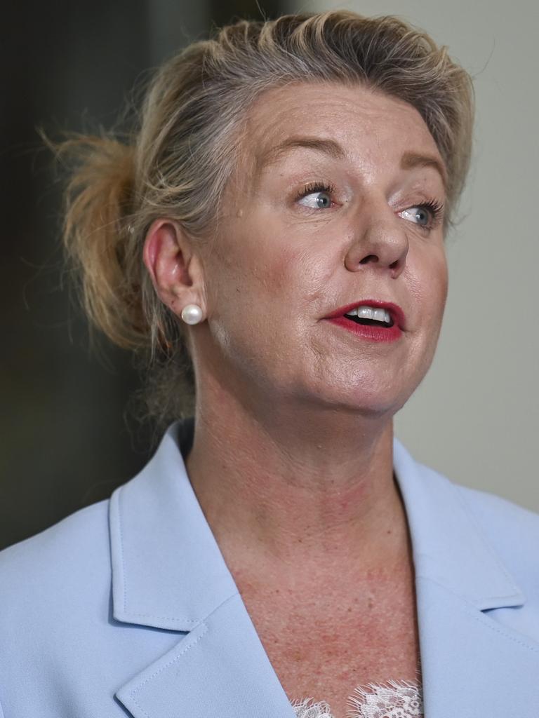 Senator Bridget McKenzie. Picture: NCA NewsWire/Martin Ollman