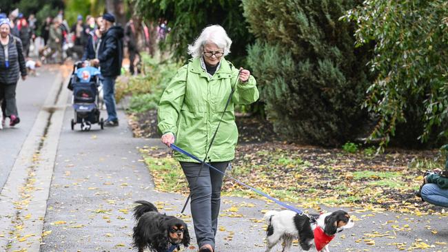 Million Paws Walk at Adelaide Botanic Gardens. Picture: Brenton Edwards
