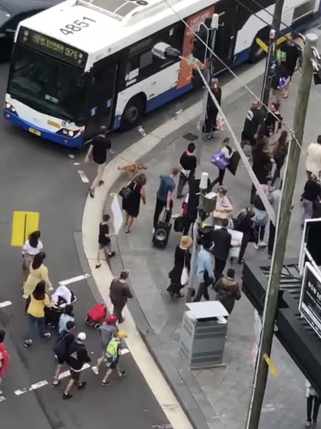 Dozens of anti-mask protesters marching through a Bondi shopping centre Picture: Supplied, Source: Bondi Local loop