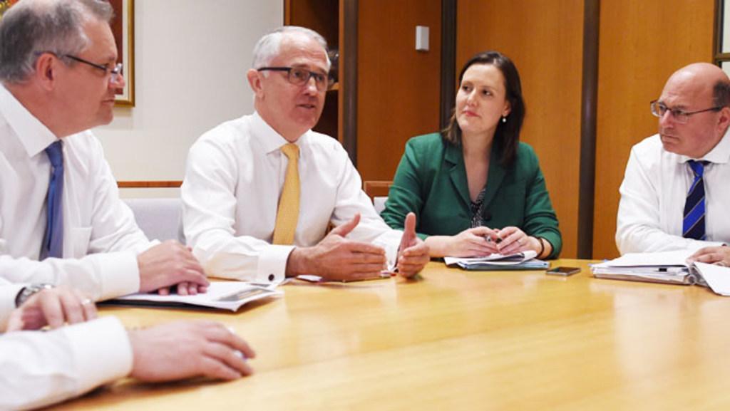 Turnbull begins gathering intel