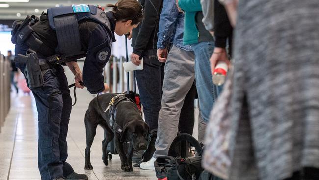 Leading Senior Constable Emma McPherson and Dio screen people in Terminal 4. Picture: Jake Nowakowski