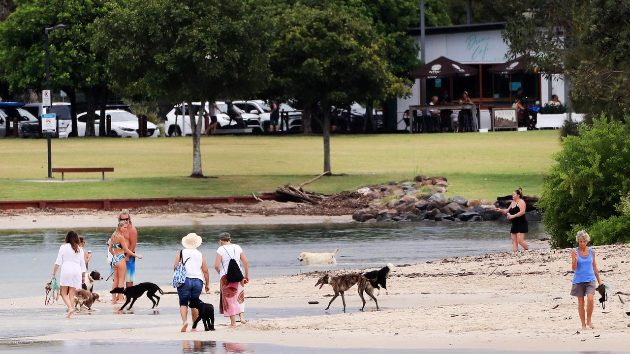 Dog walkers brave the rain at the Currumbin Creek Pirate Park at Palm Beach this morning as wet weather descended over the Gold Coast. Photo: Scott PowickNEWSCORP