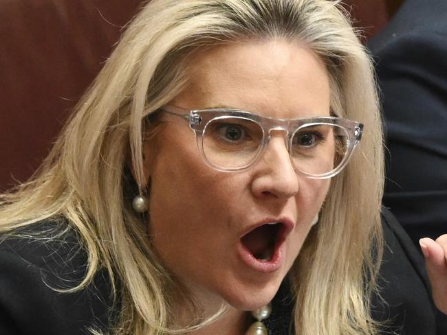 CANBERRA, AUSTRALIA, NewsWire Photos. NOVEMBER 7, 2023: Senator Hollie Hughes during Question Time in the Senate at Parliament House in Canberra. Picture: NCA NewsWire / Martin Ollman