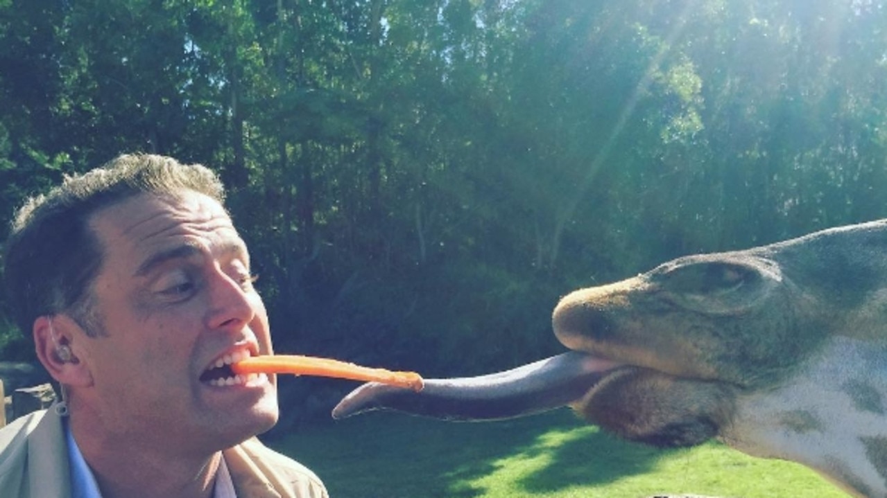 Karl sharing a snack with an eager giraffe. Picture: Instagram/@kstefanovic