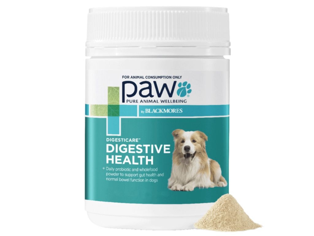 Get your pet's digestive health under control.