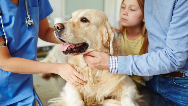 Greencross has the largest vet services operation in Australia, with more than 160 clinics.