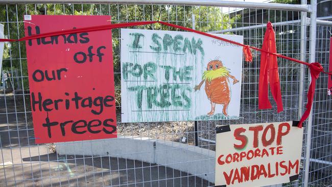 A heritage-listed tree at Newmarket station was saved earlier this month. Picture: Ellen Smith