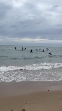 A paddle out has been held in Hervey Bay in memory of alleged hit and run victim Tash Raven,