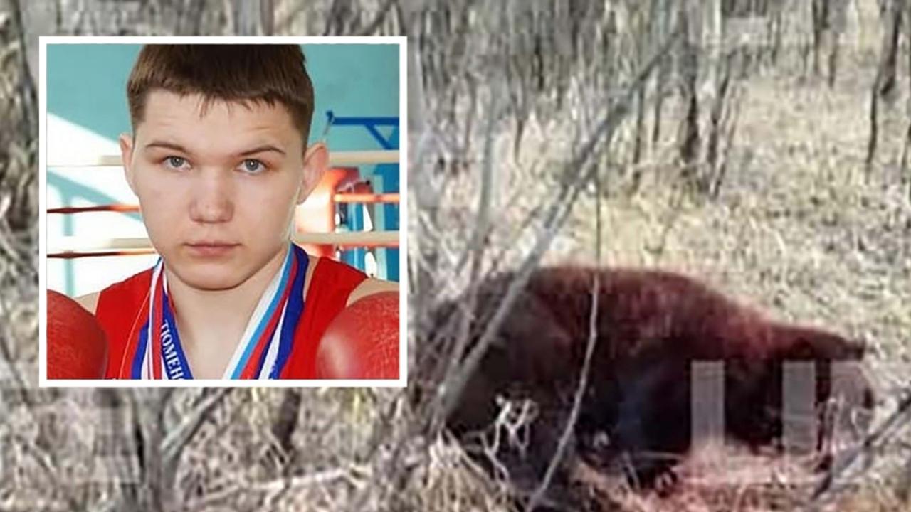 A decorated Russian boxer is in “grave condition” after fighting off and stabbing a bear to death after it killed his friend.
