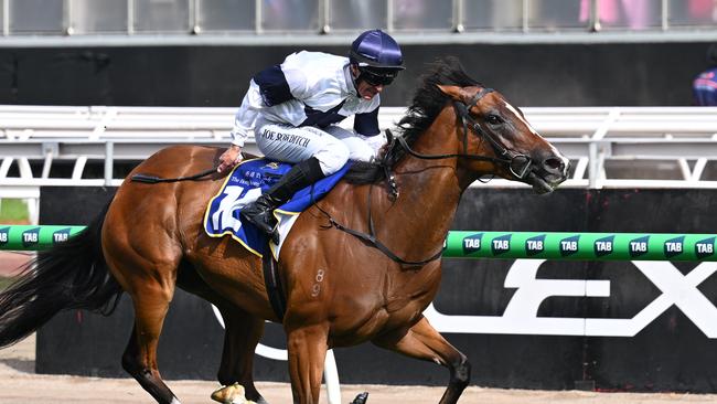 Fancify, ridden by Joe Bowditch, wins The Hong Kong Jockey Club Stakes on Melbourne Cup Day at Flemington. Picture: Vince Caligiuri/Getty Images