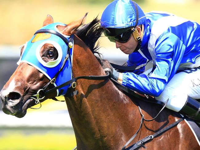 Winning combination: Kerrin McEvoy drives Kiss And Make Up to an upset victory over Capitalist. Picture: Jenny Evans