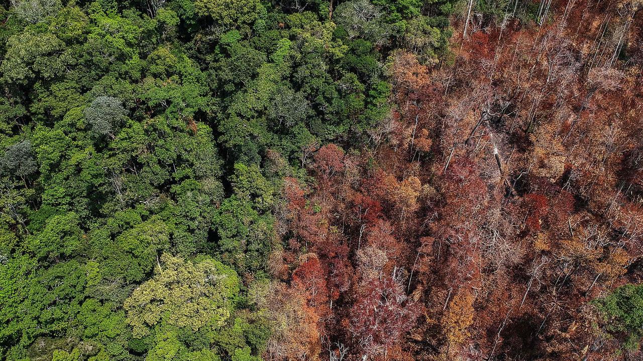 The stark contrasty between virgin forest and burnt out areas near Moraes Almeida, -a town along a section of the trans-Amazonian highway-, in Itaituba, Para state. (Photo by Nelson Almeida/ AFP)